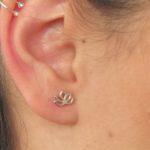 PENDIENTES DE PLATA